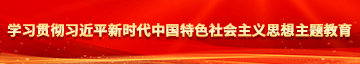 大奶骚婊子艹死你视频学习贯彻习近平新时代中国特色社会主义思想主题教育